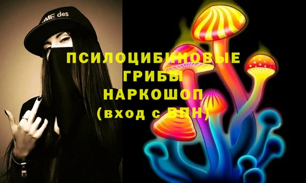 mdpv Новозыбков