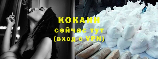 mdpv Новозыбков