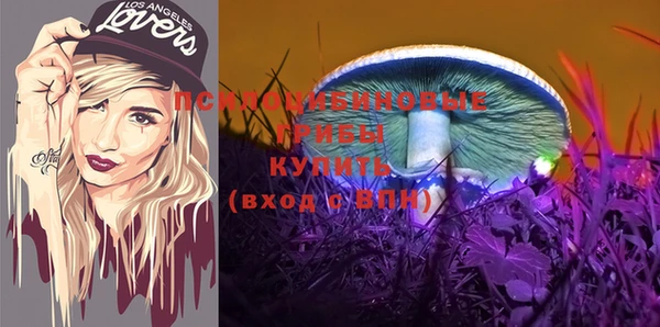 меф Новодвинск