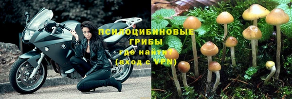 mdpv Новозыбков