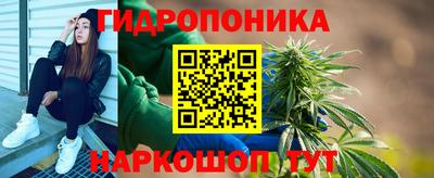 спиды Гатчина