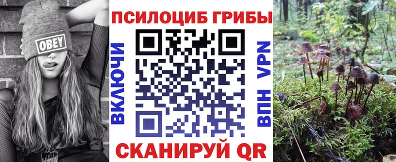 где можно купить   Лангепас  Галлюциногенные грибы Magic Shrooms 