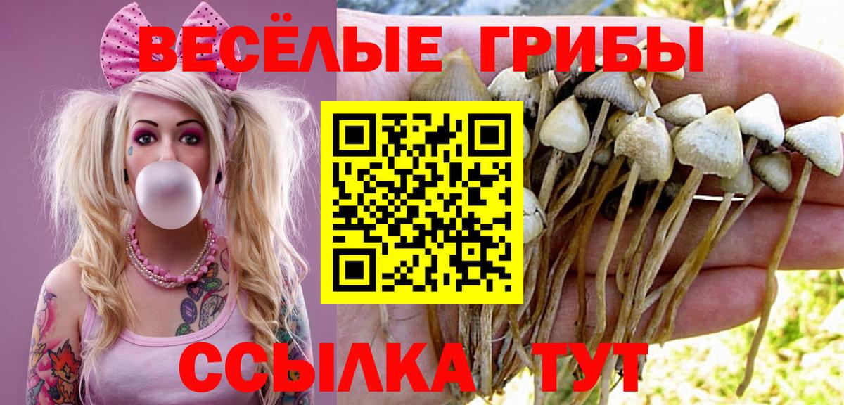 Псилоцибиновые грибы Psilocybine cubensis  Галлюциногенные грибы мицелий  сколько стоит  Лангепас 